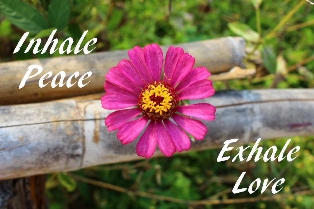 inhale peace exhale love